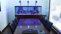 A conference room with a long table, chairs, and a large fish tank against the back wall.