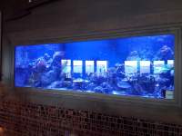 A large aquarium with various fish and aquatic plants inside, illuminated by blue lighting, set against a tiled wall.