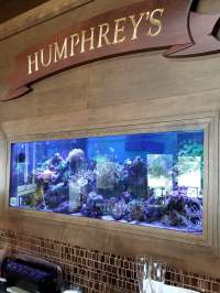 A wooden-paneled wall features a large aquarium filled with colorful fish and coral, beneath a sign reading "HUMPHREY'S.