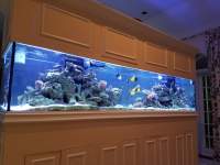 A large, wall-mounted aquarium with various coral formations and several colorful fish swimming inside.